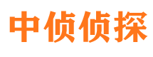 洛扎市私人调查